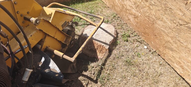 Rognage de souche à Royan: pourquoi et comment le faire ?