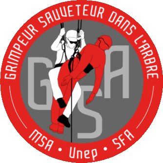 logo gsa